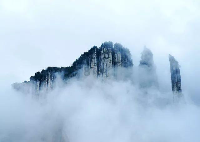东京迷城