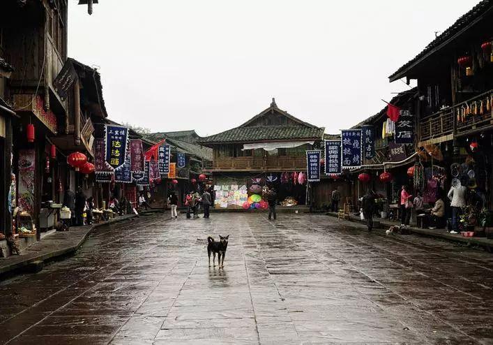 救援海盗章鱼